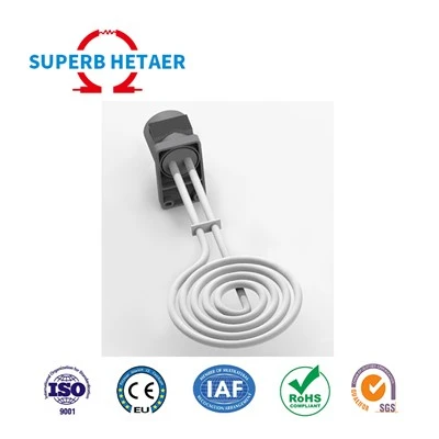 PTFE Teflon verwarmer voor zuur